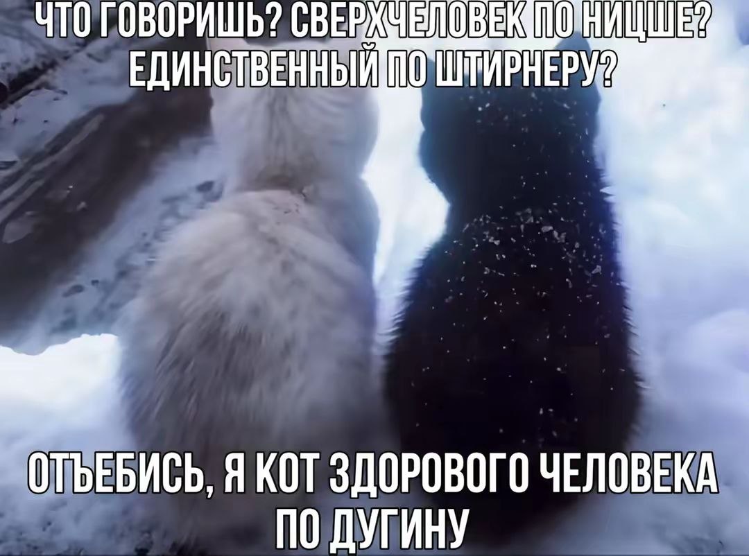 Два кота на снегу спорят о сверхчеловеке и единственном по Штирнеру, завершая разговор абсурдной фразой про кота здорового человека по Дугину.