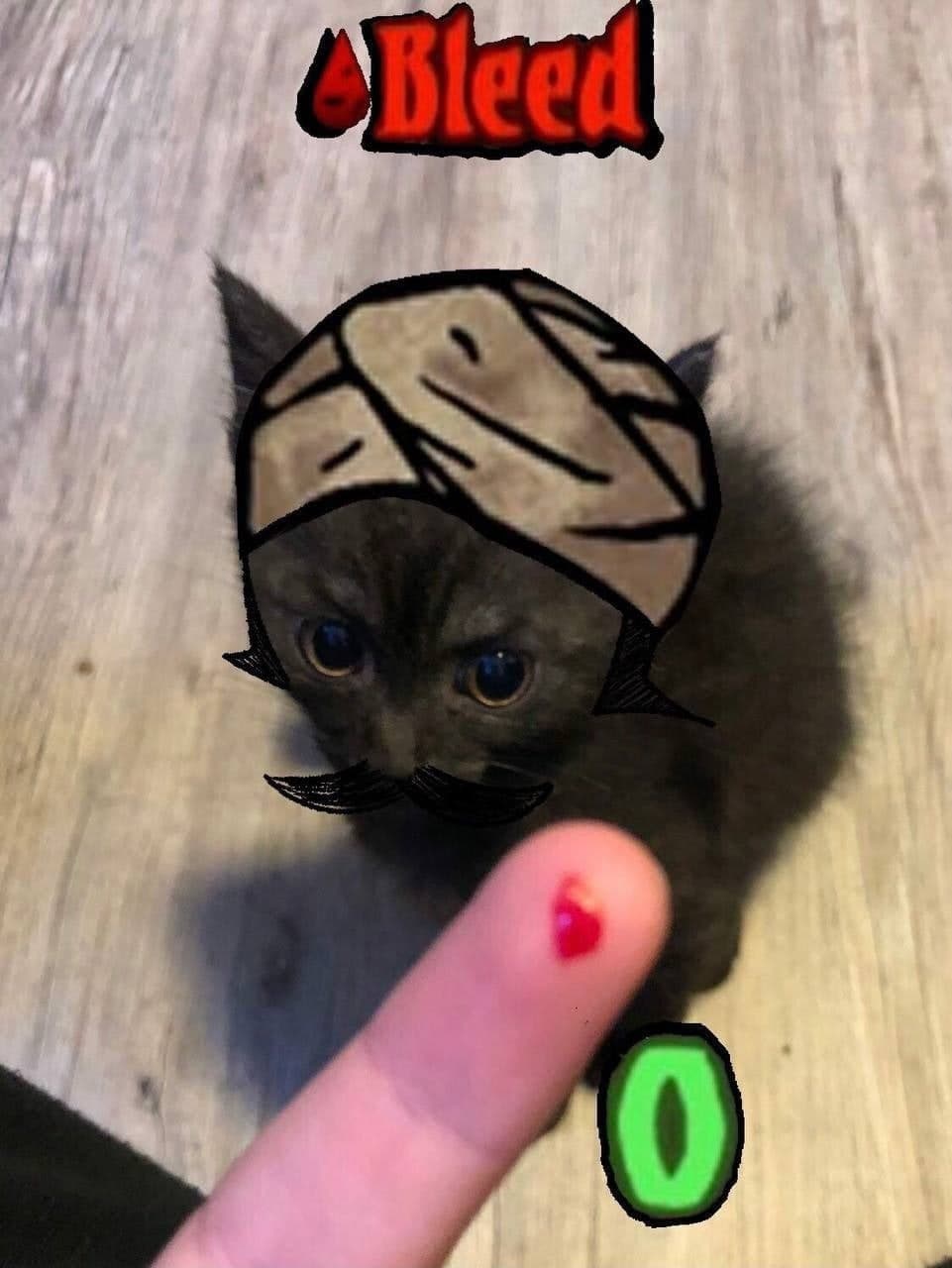 Котенок и кровь Bleed Кровотечение на пальце и испуганный котенок с игровыми элементами "Bleed"