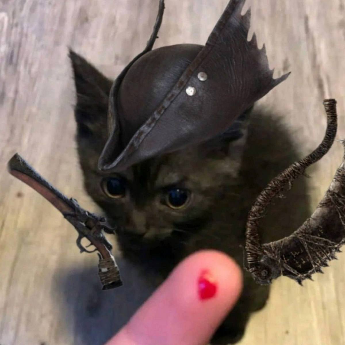 Котенок охотник Bloodborne Милый черный котенок в шляпе охотника из Bloodborne с оружием и каплей крови на пальце
