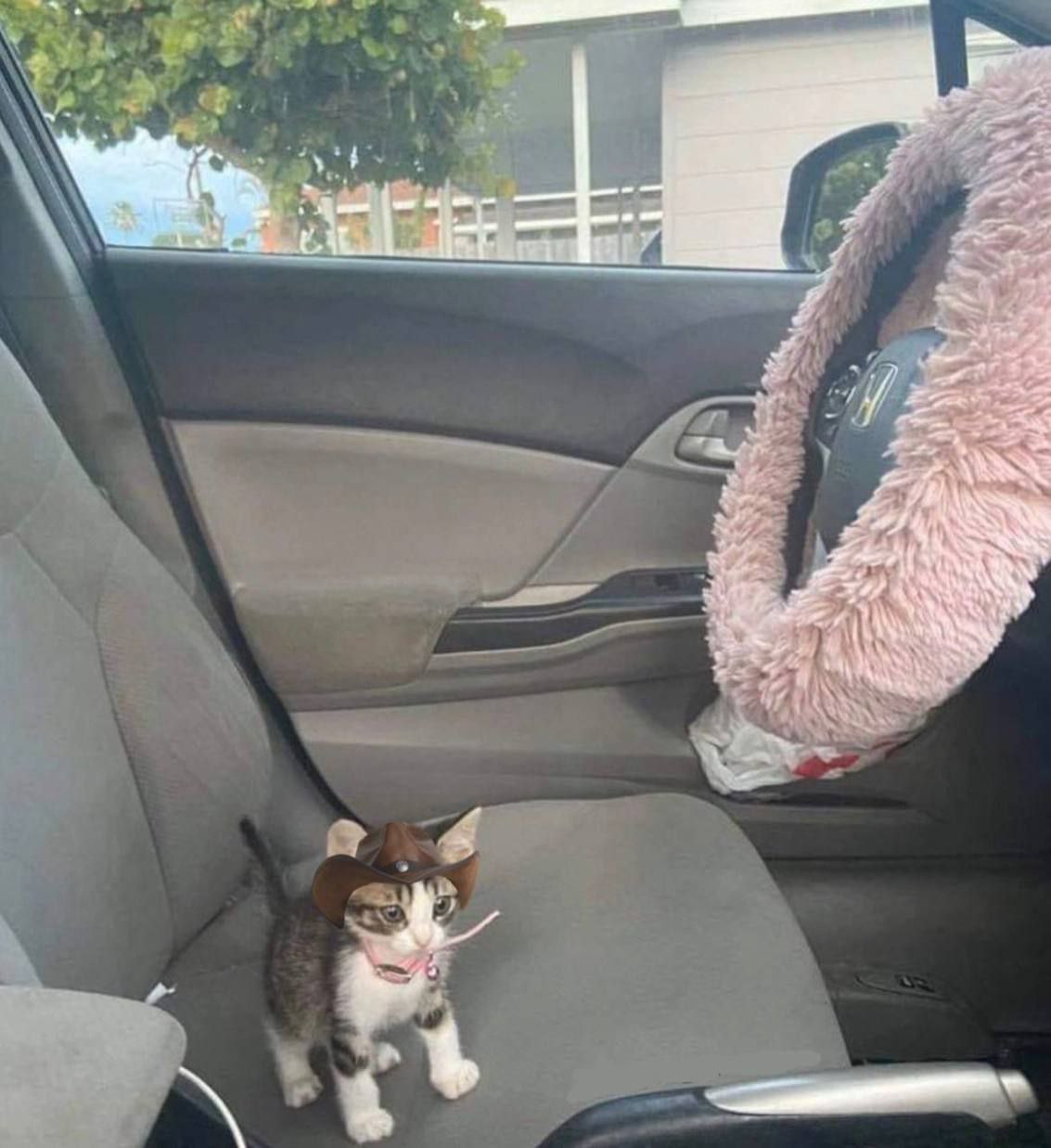 Котёнок в ковбойской шляпе Котенок в ковбойской шляпе сидит на сиденье автомобиля