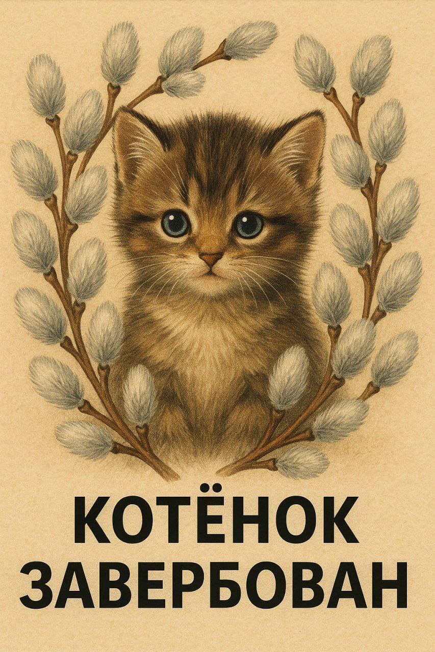 Котёнок завербован Изображение котёнка с надписью "Котёнок завербован"