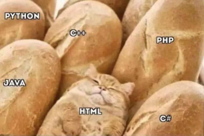 Котик HTML среди языков программирования Мем, где котик, подписанный как HTML, уютно лежит среди батонов, подписанных названиями других языков программирования, таких как Python, C++, PHP, Java и C#.