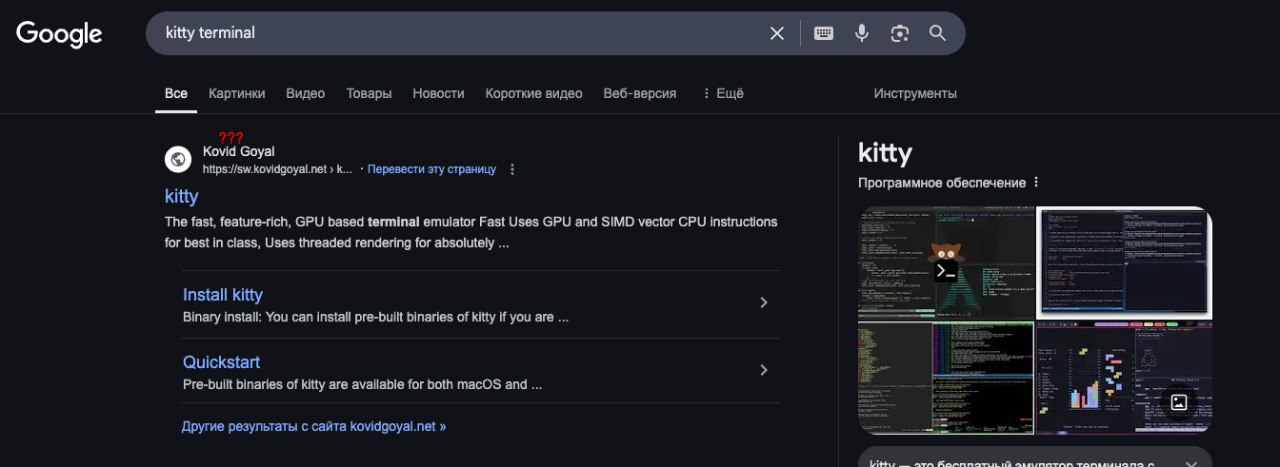 Котик терминал Мем с запросом "kitty terminal" в Google и непониманием названия сайта kovidgoyal.net