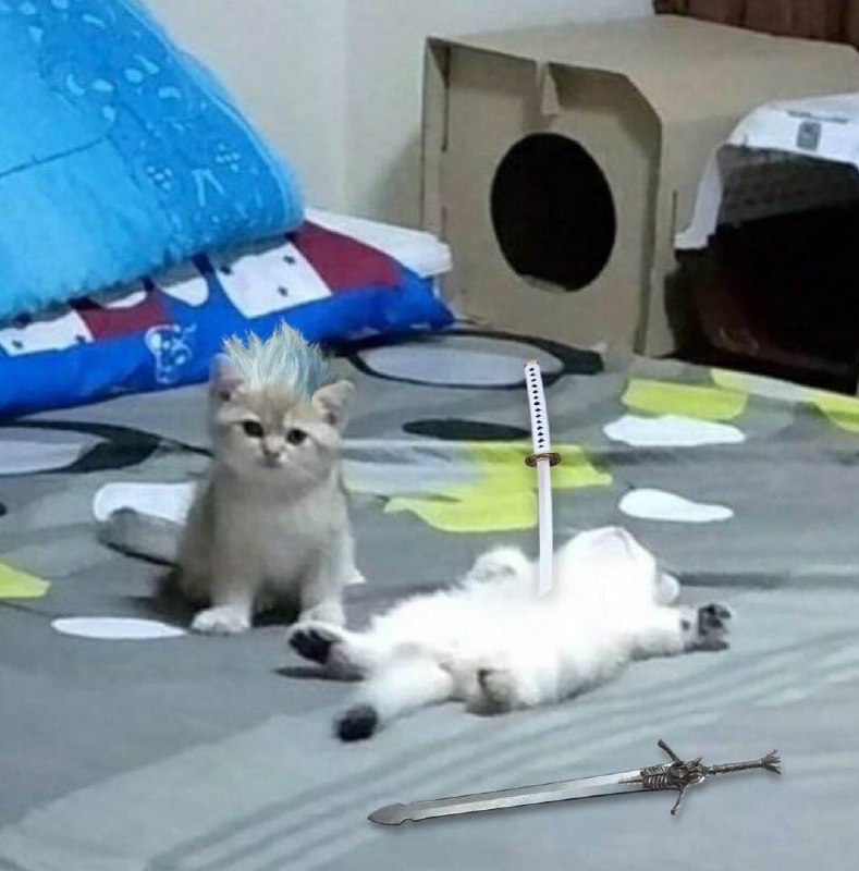 Котёнок с катаной и мечом Мем с котёнком в причёске, который «убил» другого котёнка катаной, а рядом лежит большой меч.