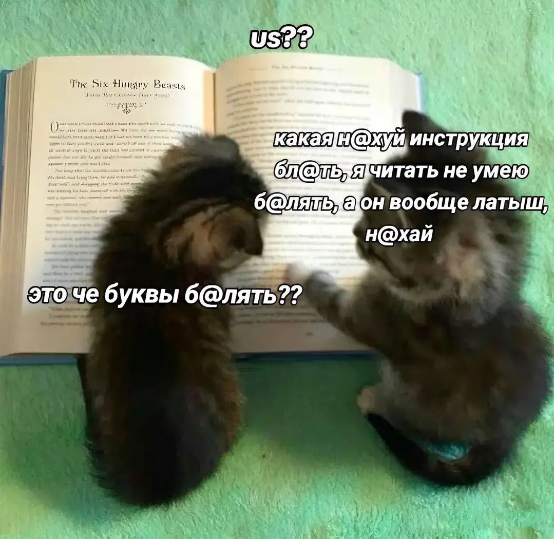 Котята и инструкция Два маленьких котенка с недоумением смотрят на открытую книгу с текстом, задаваясь вопросами об инструкции и своем происхождении.