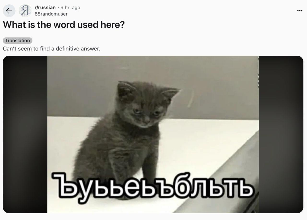 Котёнок с надписью Ъуъ Котёнок с надписью Ъуъъеъъболть