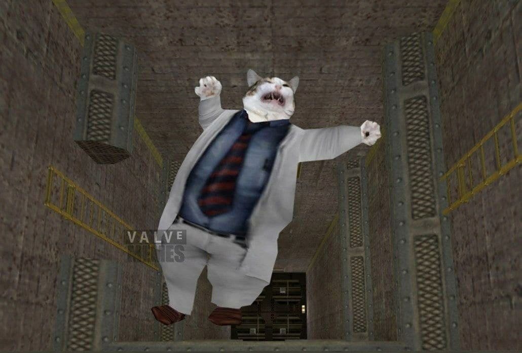 Кричащий кот в костюме в Half-Life Кричащий кот в костюме, падающий в шахте из Half-Life.