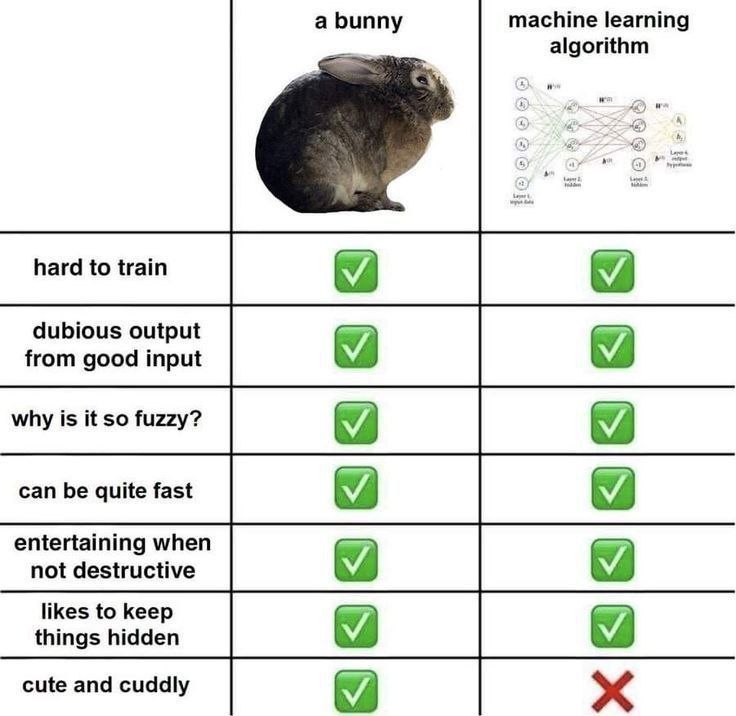 Таблица сравнивает кролика и machine learning algorithm по забавным признакам: оба трудно обучаются, дают сомнительный результат и любят прятать детали, но только кролик милый и пушистый.