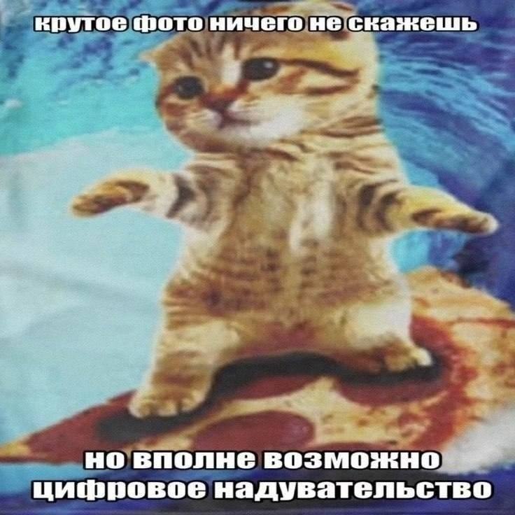 Котёнок самоуверенно позирует для крутого фото, но подпись намекает на цифровое надувательство и чрезмерную обработку изображения.