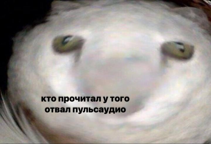 Кто прочитал у того отвал пульсаудио Белый кот с искаженной мордочкой и надписью "кто прочитал у того отвал пульсаудио"