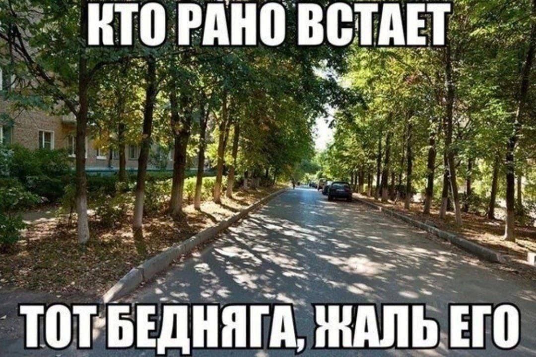 Кто рано встает тот бедняга, жаль его Мем про того, кто рано встает, и ему жаль