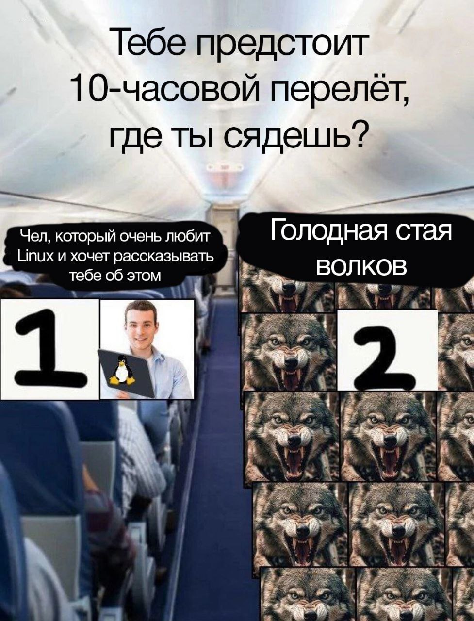 Куда сядешь в самолете Мем про выбор места в самолете в десятичасовой перелет: рядом с фанатом Linux или голодной стаей волков