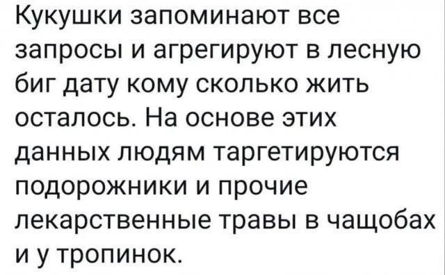 Кукушки таргетируют лекарственные травы Мем с текстом о том, что кукушки запоминают запросы и агрегируют лесную биг дату, на основе которой людям таргетируются подорожники и прочие лекарственные травы в чащобах и у тропинок.
