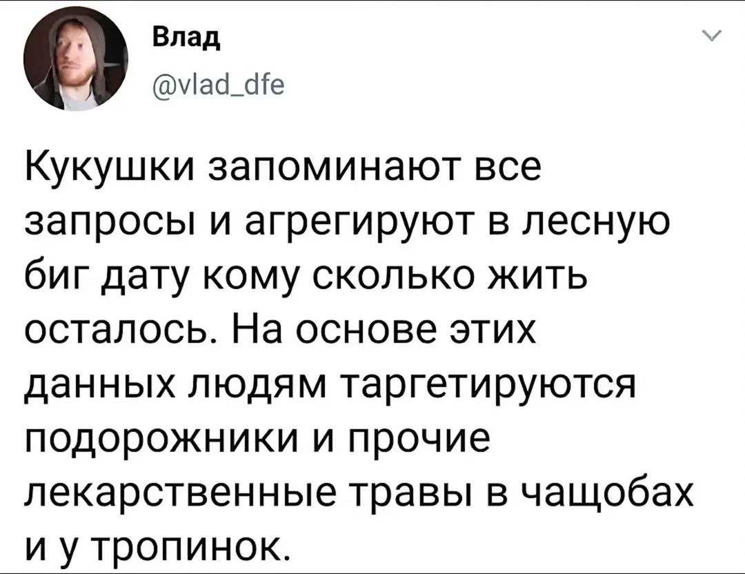 Кукушки запоминают все запросы и агрегируют в лесную биг дату Пользователь Влад в Твиттере пишет о том, что кукушки запоминают все запросы и агрегируют их в лесную биг дату, чтобы таргетировать подорожники людям.