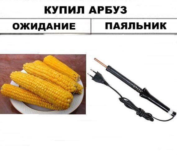 Купил арбуз, а получил кукурузу или паяльник Мем про покупку арбуза, где вместо ожидаемого сладкого плода получили кукурузу или паяльник.
