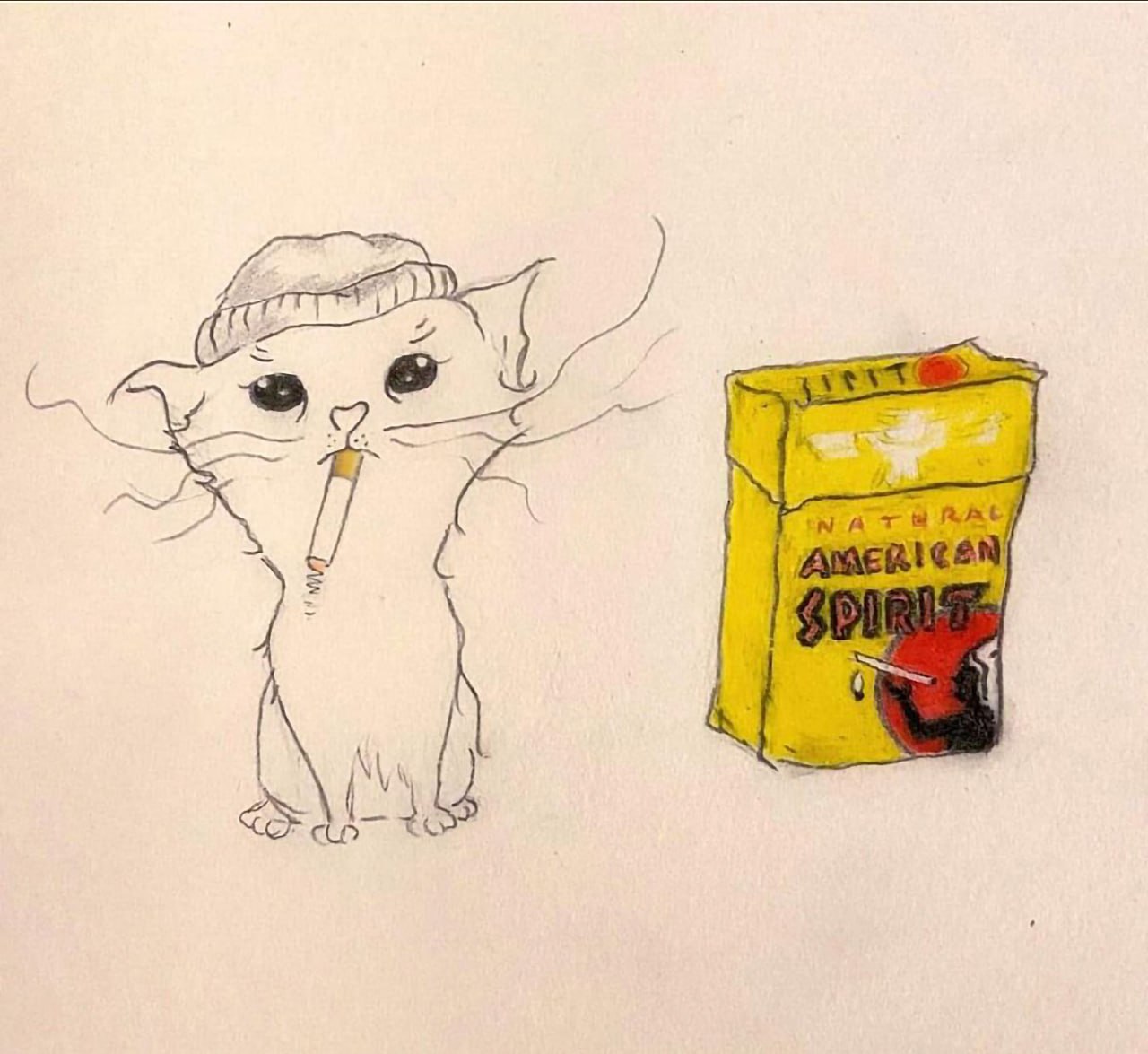 Курящий кот в шапке Рисунок курящего белого кота в шапке рядом с пачкой сигарет American Spirit