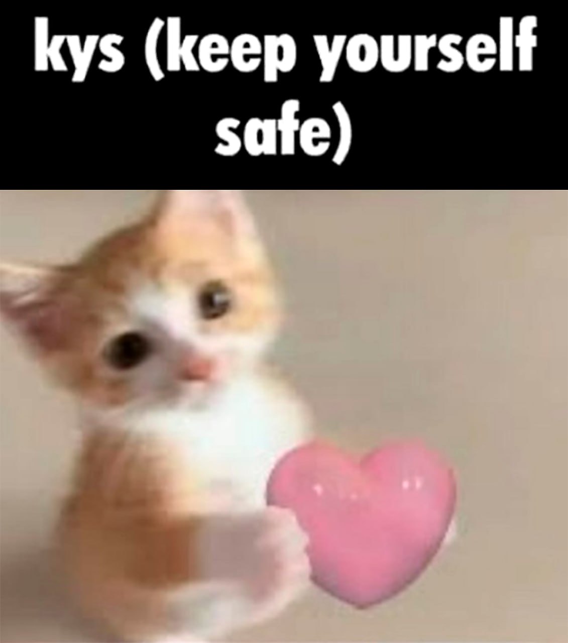 Kys (keep yourself safe) Котёнок держит розовое сердечко и надпись kys (keep yourself safe)