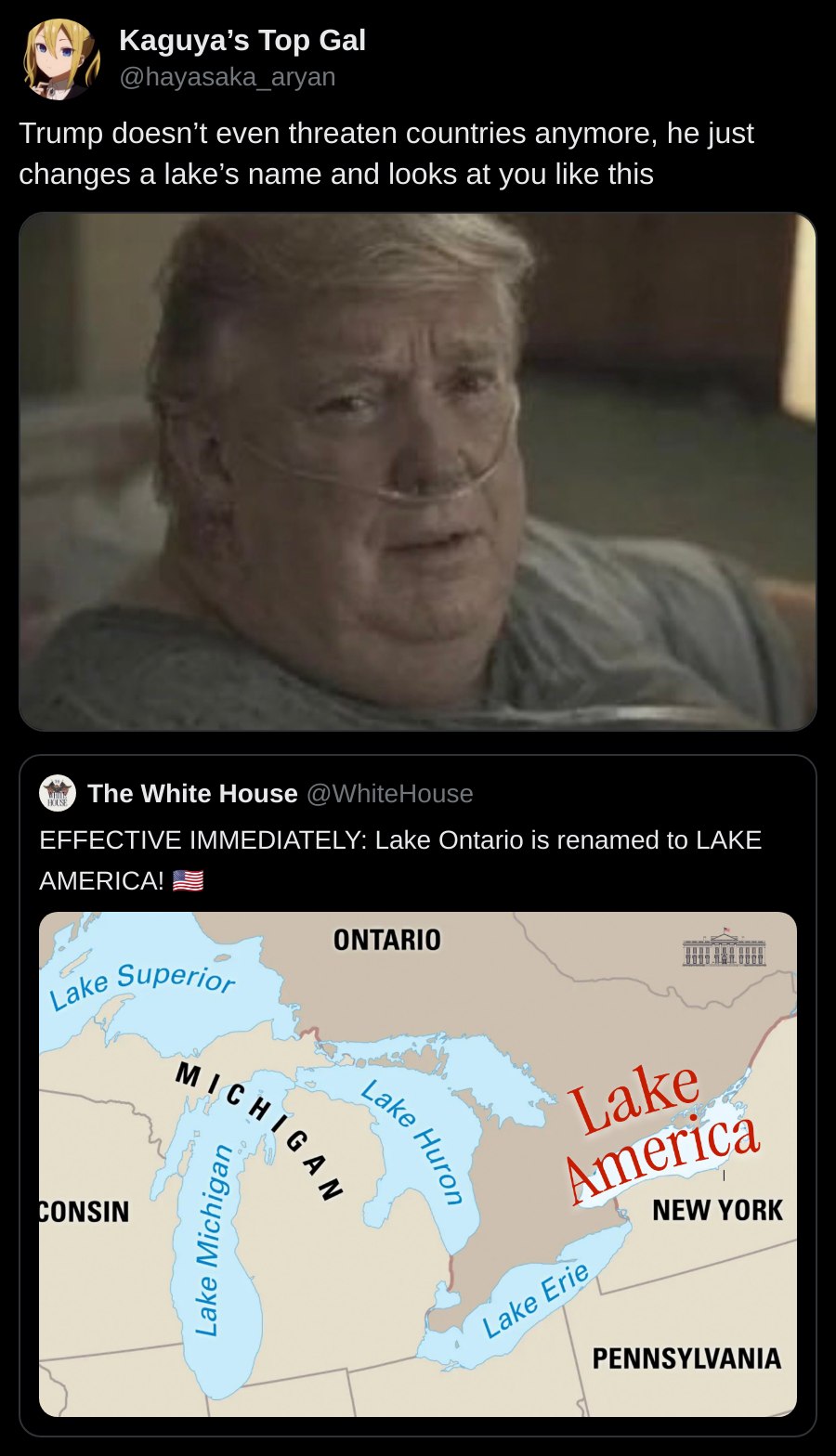 Скриншот поста, где Трамп якобы переименовал озеро Онтарио в Lake America и смотрит с каменным выражением лица