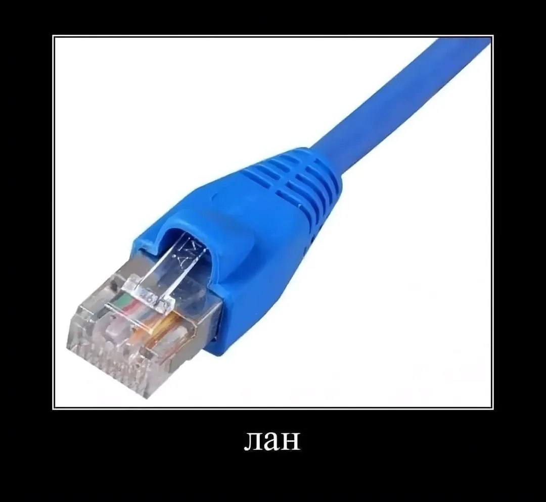 Синий сетевой кабель Ethernet с подписью «лан» на черном фоне