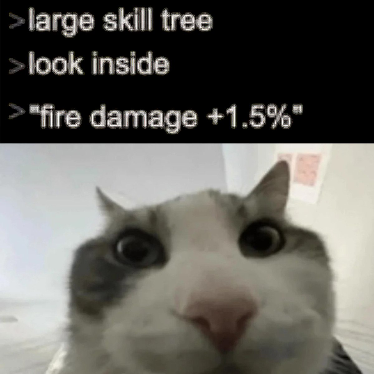 Large skill tree look inside кот Кот смотрит в камеру после открытия дерева навыков с бесполезным бонусом