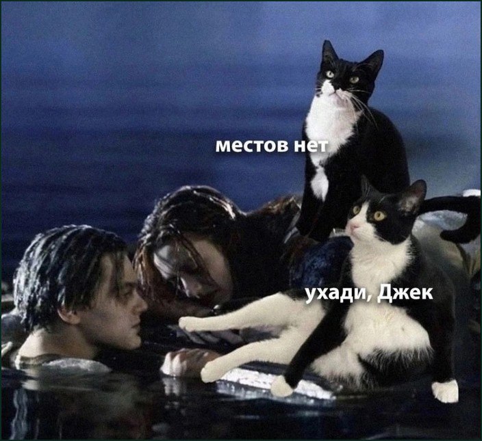 Уходи, Джек, мест нет Кадры из фильма Титаник, где вместо Роуз два кота, и они не дают Джеку места на плоту
