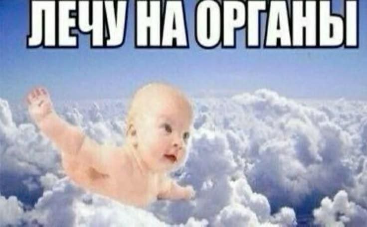 Лечу на органы Младенец летит по небу на органы.