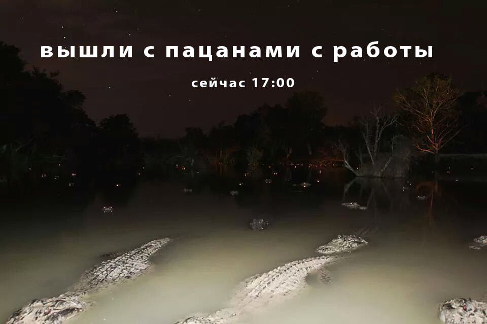 Вышли с пацанами с работы сейчас 17:00 Мем "Вышли с пацанами с работы сейчас 17:00" с изображением водоема, полного аллигаторов, и их светящихся глаз в темноте.