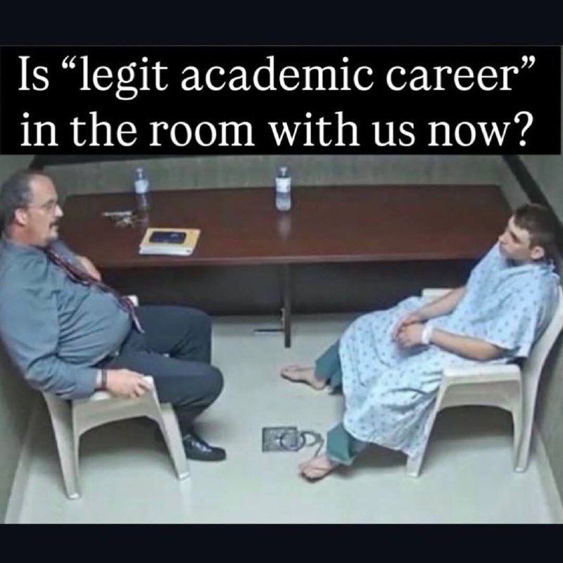 Двое мужчин сидят в комнате, а сверху написан саркастический вопрос: «Is “legit academic career” in the room with us now?»