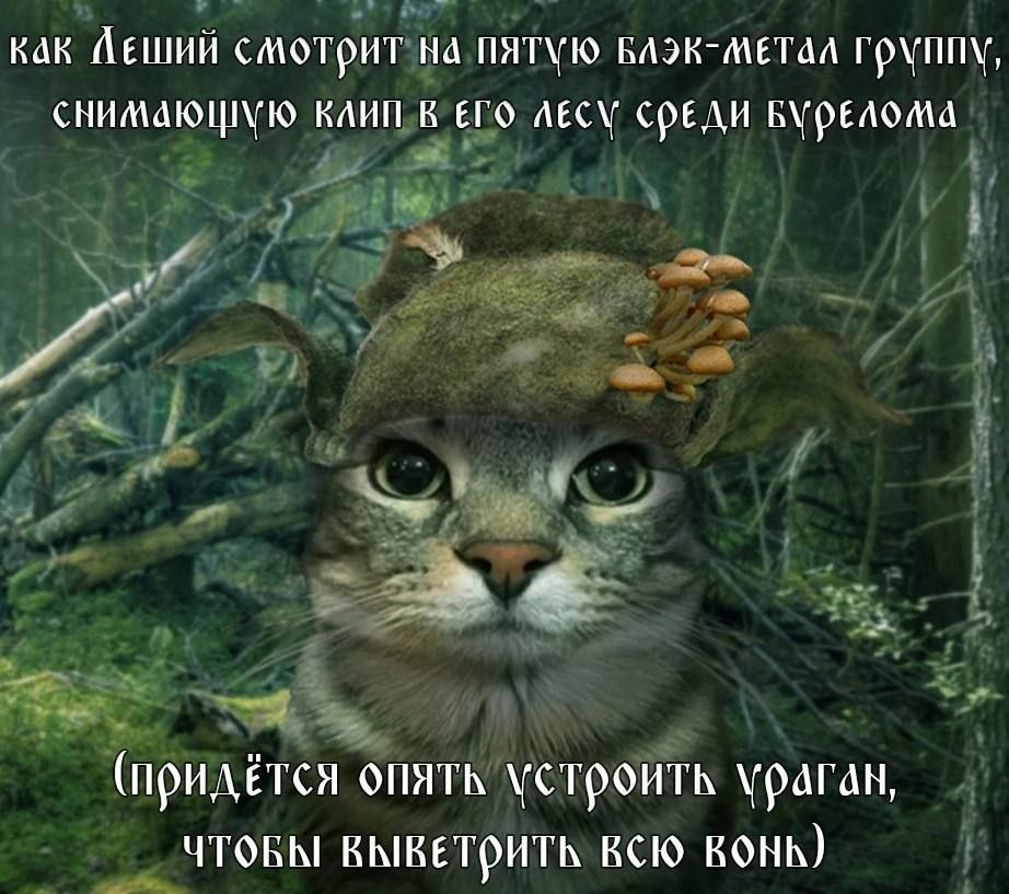 Леший смотрит на блэк-метал группу Леший смотрит на блэк-метал группу в лесу