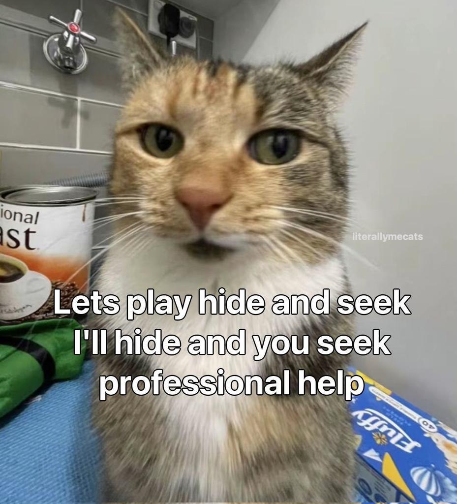 Lets play hide and seek I’ll hide and you seek professional help Мем с котом: "Lets play hide and seek I’ll hide and you seek professional help"