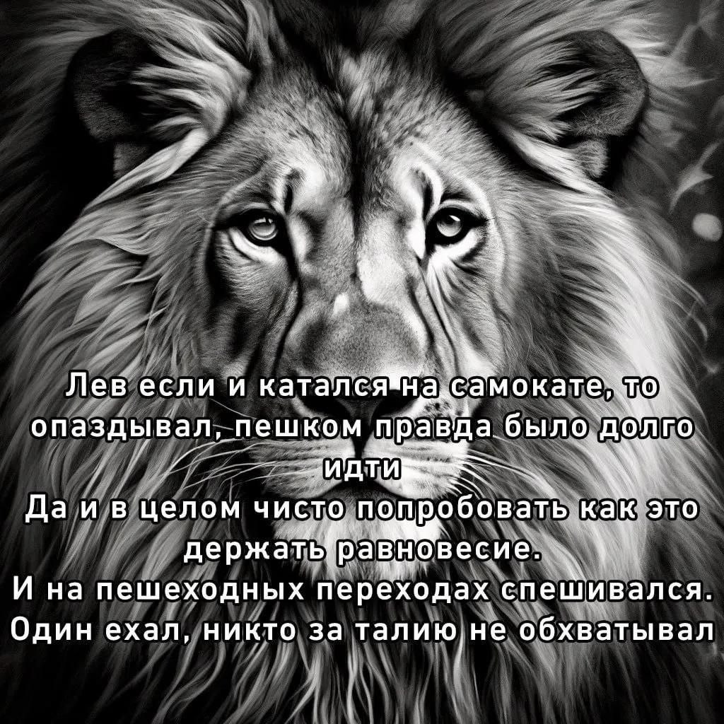 Лев если и катался на самокате, то опаздывал Лев на самокате опаздывал, один ехал, никто за талию не обхватывал