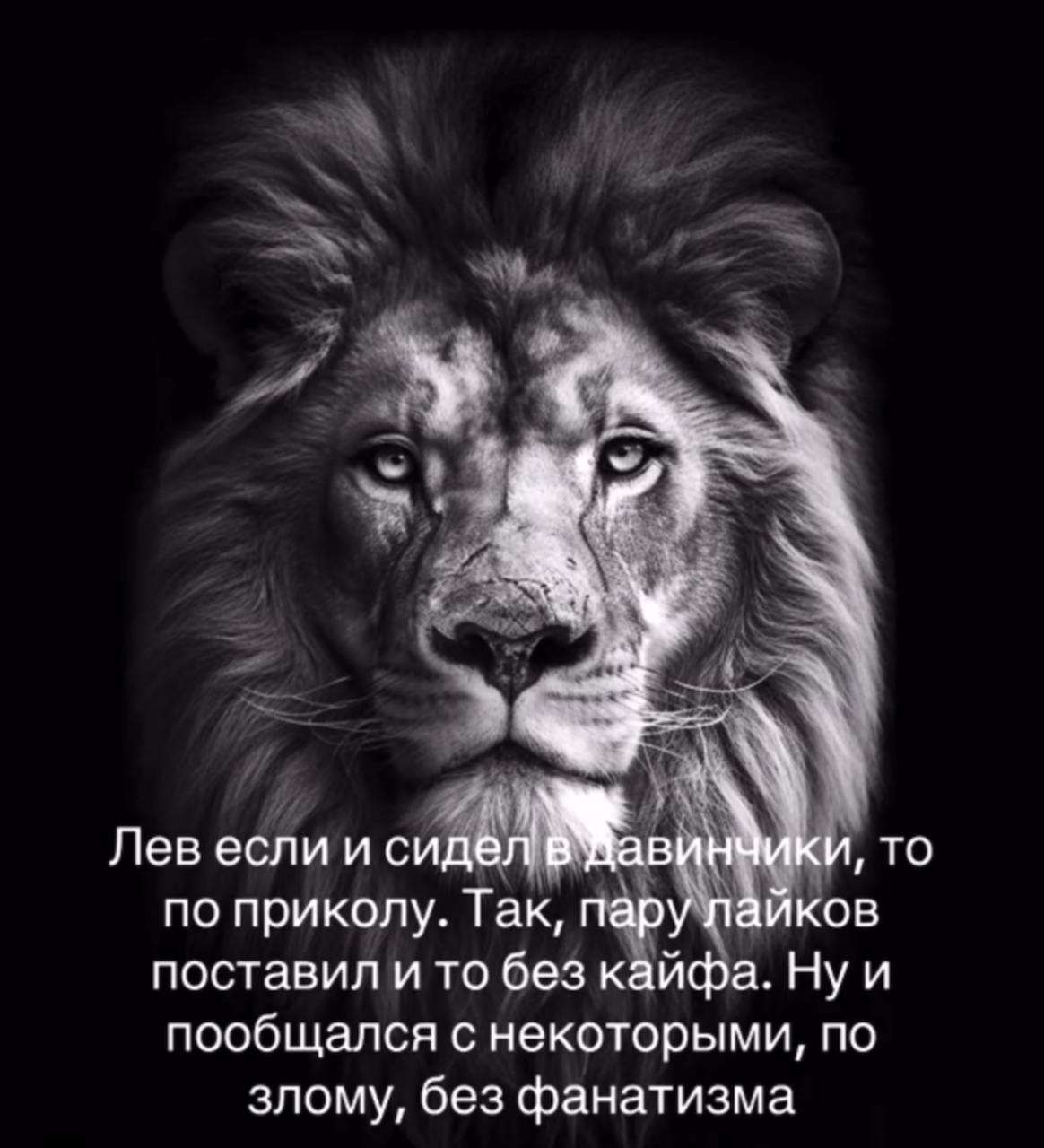 Лев сидел в давинчики по приколу Лев если и сидел в давинчики, то по приколу, пару лайков поставил и то без кайфа