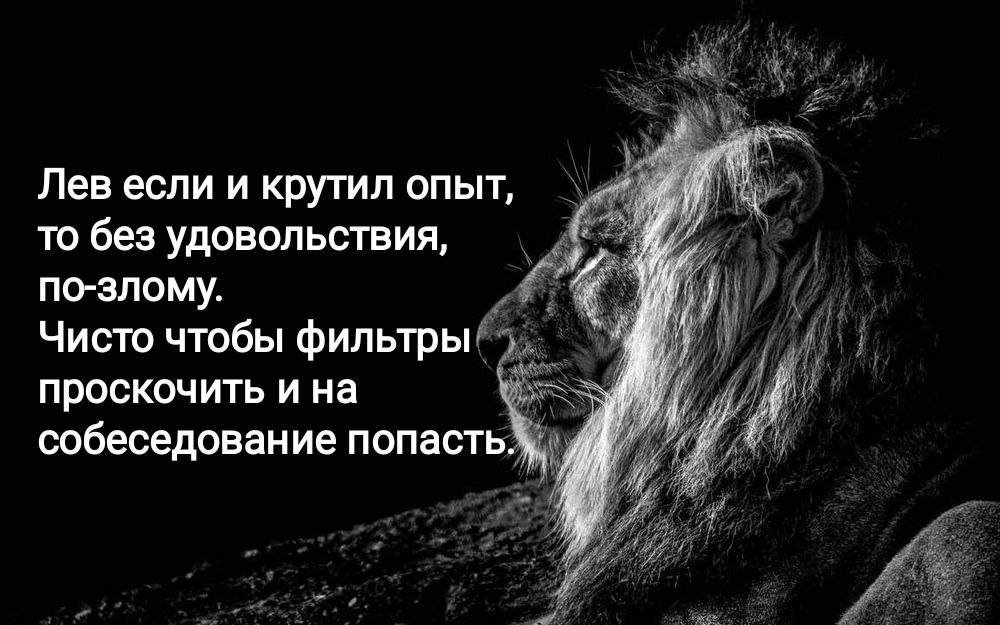 Лев на собеседовании Лев если и крутил опыт, то без удовольствия, по-злому. Чисто чтобы фильтры проскочить и на собеседование попасть