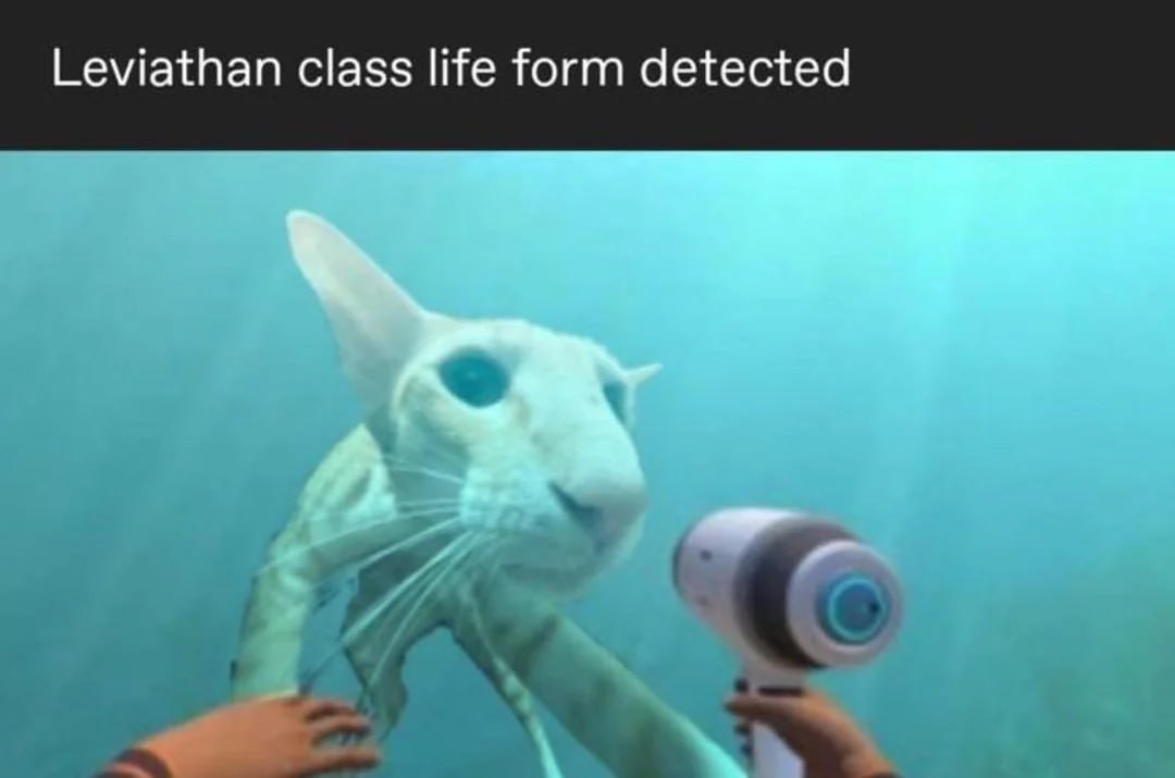 Подводная сцена с необычным существом и надписью «Leviathan class life form detected» — «Обнаружена форма жизни класса левиафан».