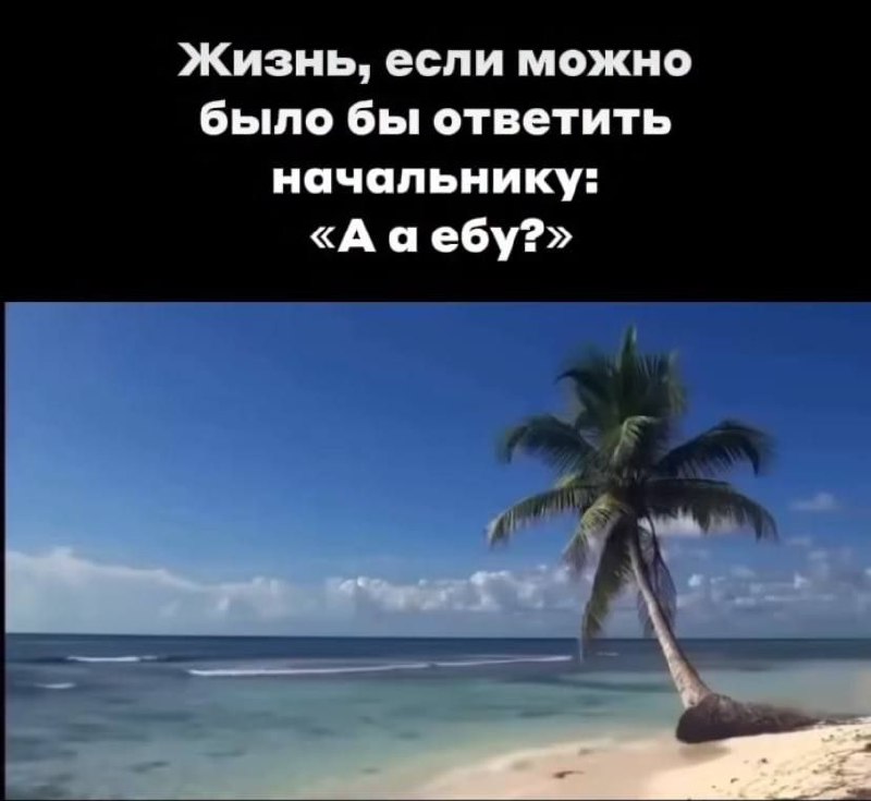 Жизнь, если можно было бы ответить начальнику: «А а ебу?» Жизнь, если можно было бы ответить начальнику: «А а ебу?» и пальма на пляже