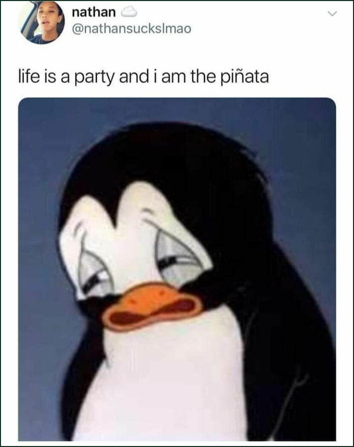 Life is a party and i am the piñata Мем с грустным пингвином и подписью "life is a party and i am the piñata"