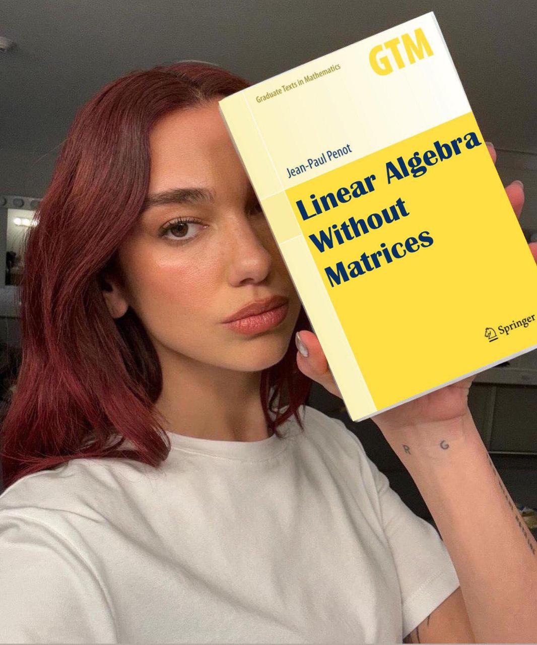 Линейная алгебра без матриц Девушка с книгой «Linear Algebra Without Matrices»