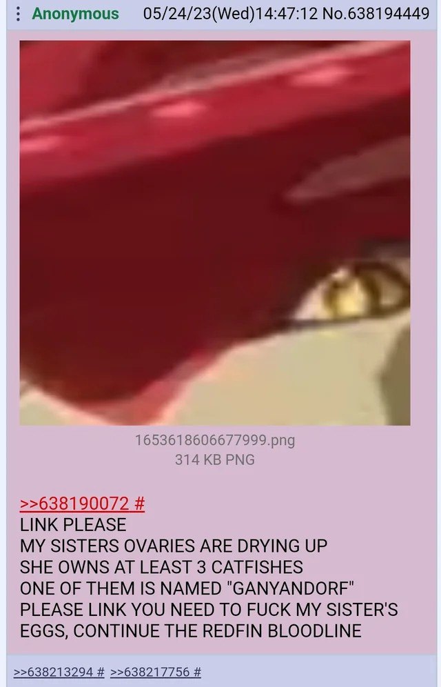 Ссылка, пожалуйста, яичники моей сестры высыхают Мем с 4chan, где анонимный пользователь просит ссылку на контент, чтобы «оплодотворить» свою сестру и «продолжить родословную красноперого».