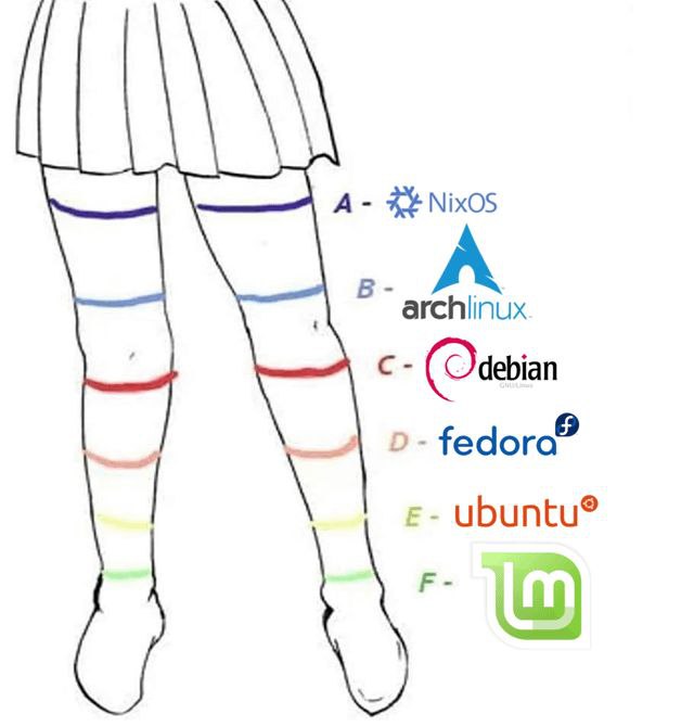 Мем, где дистрибутивы Linux сравниваются с высотой женских чулок