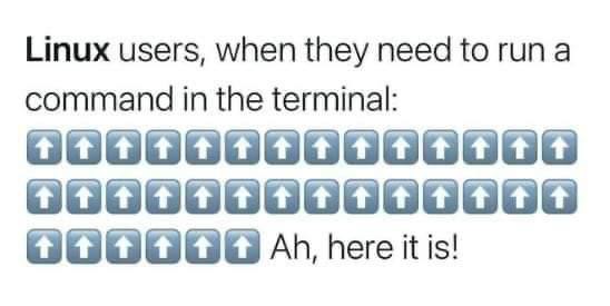 Linux users, when they need to run a command in the terminal Мем о пользователях Linux и стрелке вверх в терминале.