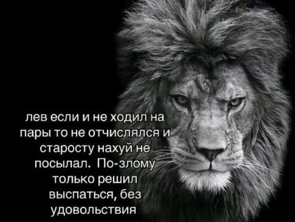 Лев если и не ходил на пары Лев если и не ходил на пары то не отчислился и старосту нахуй не посылал. По-злому только решил выспаться, без удовольствия.