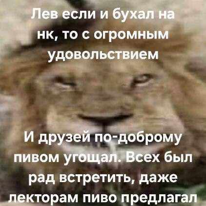 Лев если и бухал на НК, то с огромным удовольствием Мем со львом, который рассказывает, что если он и пил на НК, то делал это с огромным удовольствием и всех угощал