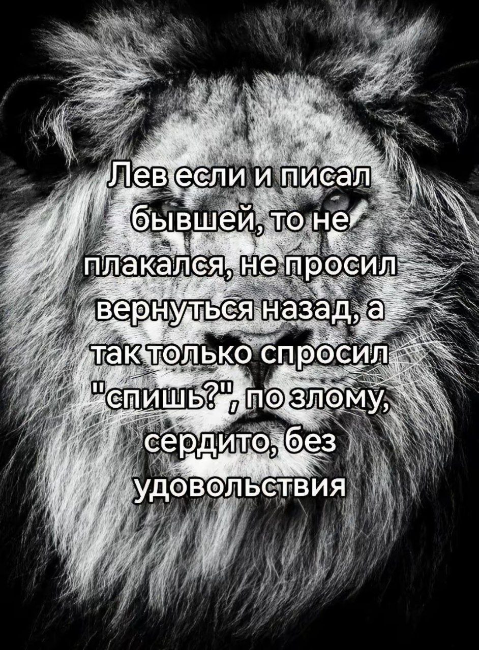 Лев если и писал бывшей, то не плакался Мем с фразой «Лев если и писал бывшей, то не плакался, не просил вернуться назад, а так только спросил: "Спишь?" по злому, сердито, без удовольствия» на фоне льва