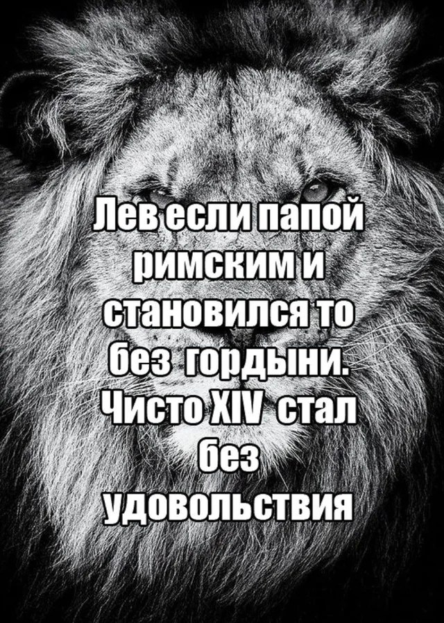 Лев если папой римским Мем с изображением льва и надписью про римского папу