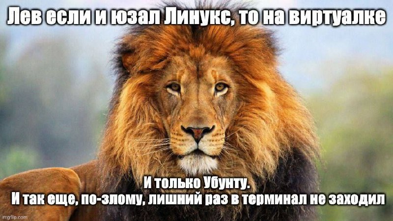 Лев юзал Линукс на виртуалке Мем с изображением льва и надписью о том, как он использовал Линукс.