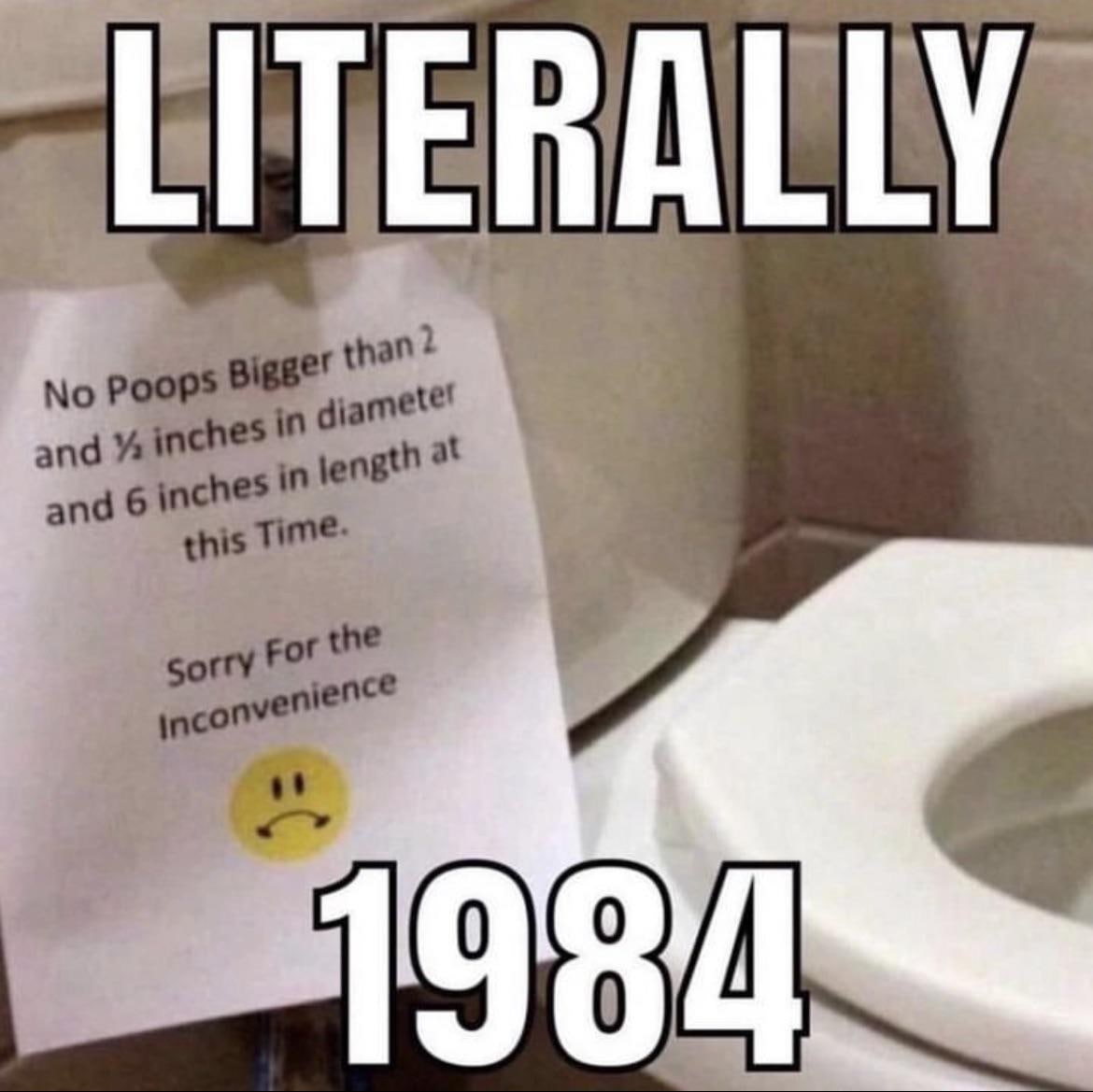 Literally 1984 и ограничение на размер фекалий Мем про ограничение на размер фекалий и 1984, с текстом "Literally" сверху.