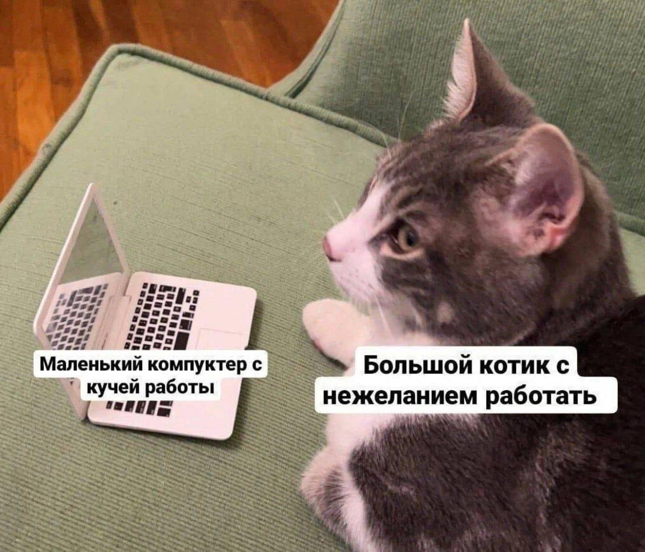 Маленький компьютер с кучей работы и большой котик с нежеланием работать Мем с котом, который смотрит вдаль, а рядом с ним стоит игрушечный ноутбук с надписями: "Маленький компьютер с кучей работы" и "Большой котик с нежеланием работать"