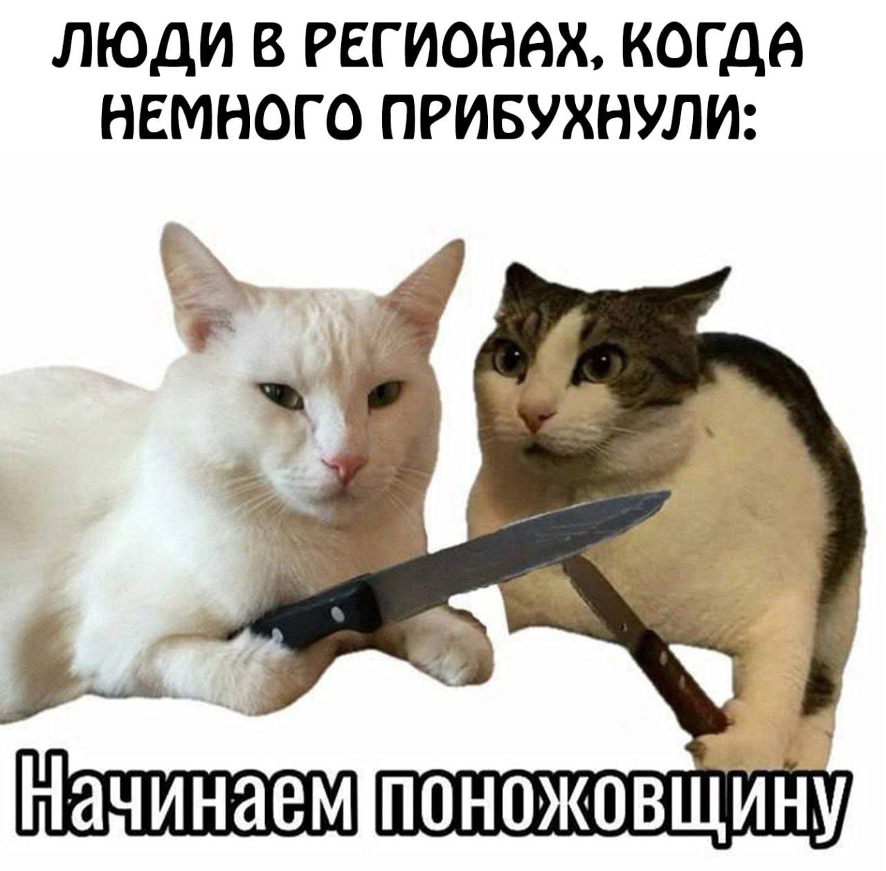 Люди в регионах с ножами Два кота с ножами: люди в регионах, когда немного прибухнули