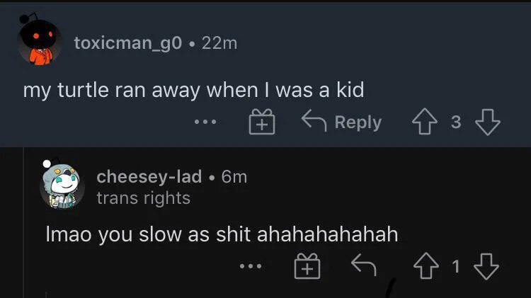 Lmao you slow as shit ahahahahahah Мем с комментарием на Reddit, где пользователь шутит над другим, чья черепаха убежала в детстве, называя его "медленным как дерьмо".