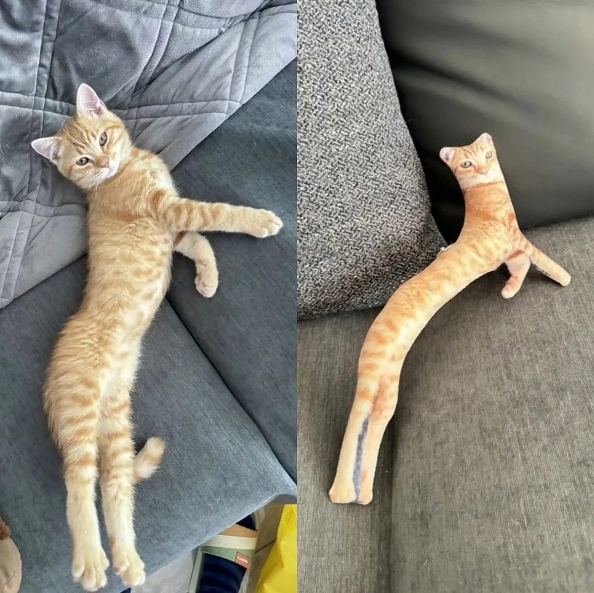 Длинная подушка кот и настоящий кот Фотография, на которой сравнивается настоящий рыжий кот, лежащий на диване, с длинной подушкой в виде кота, сделанной по его образу.